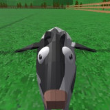 Crazy Cattle 3D +