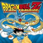 Pokemon Dragon Ball Z: Team Training