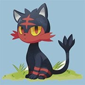 Pokemon Sun Flare Edition Pokemon Sun Flare Edition
